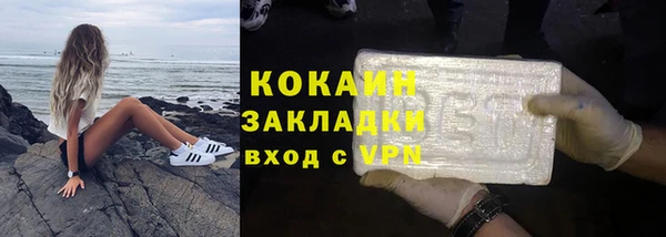 прущие грибы Беломорск