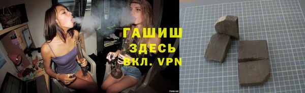 прущие грибы Беломорск