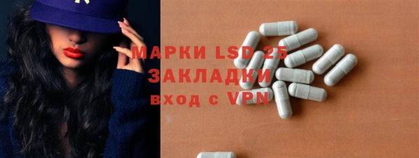 прущие грибы Беломорск